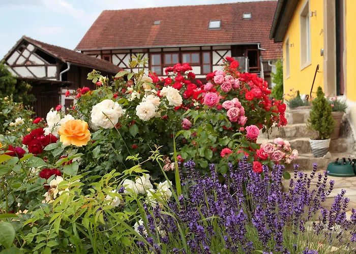 Studioapartment Mit Wohlfuehlcharakter