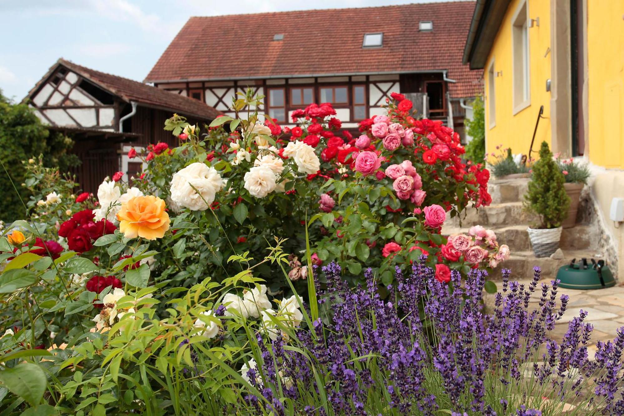 Studioapartment Mit Wohlfuehlcharakter Litzendorf